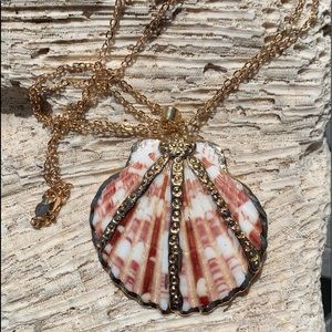Scalloped Seashell Pendant and Chain Necklace
